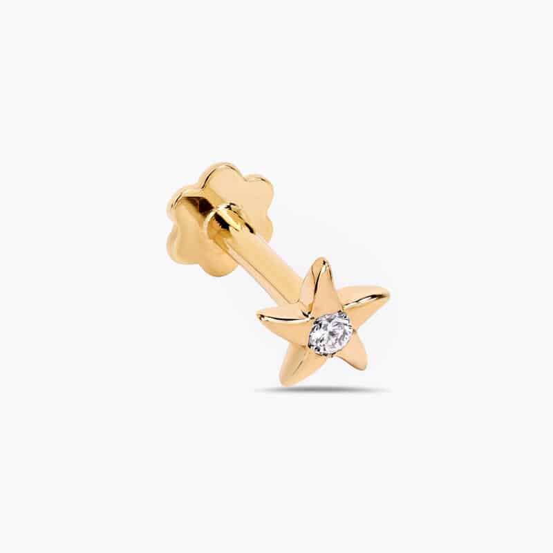 Starfish - image 2