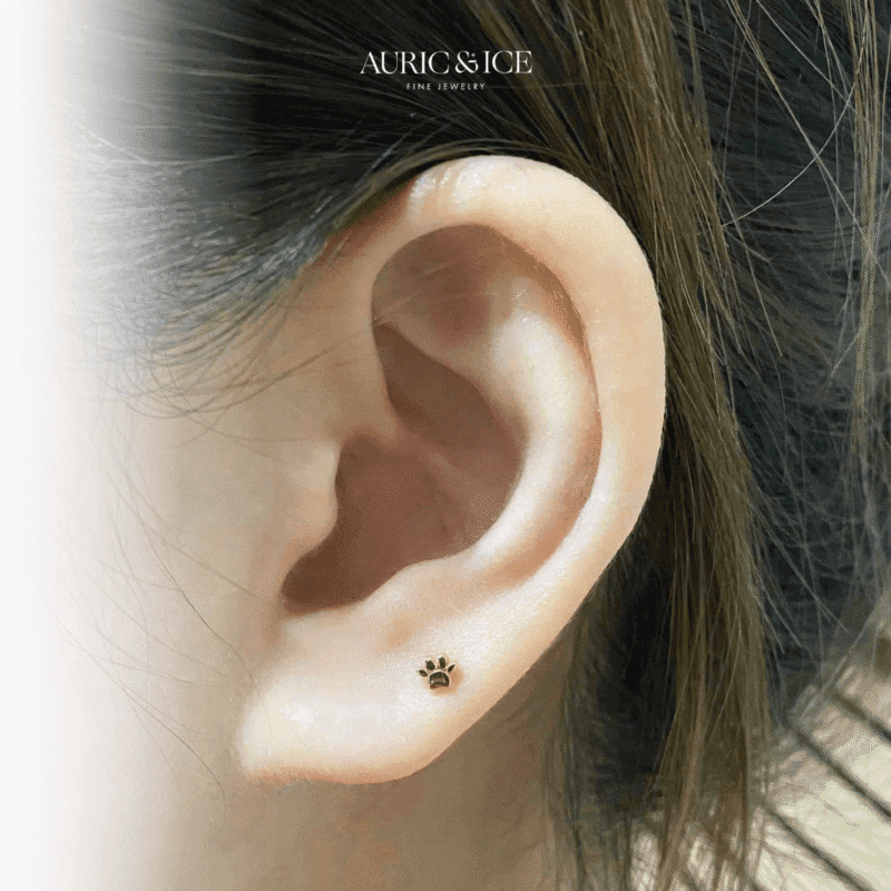 Little Paw - Image 2