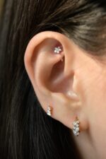 Bloom Rook Barbell - Image 4