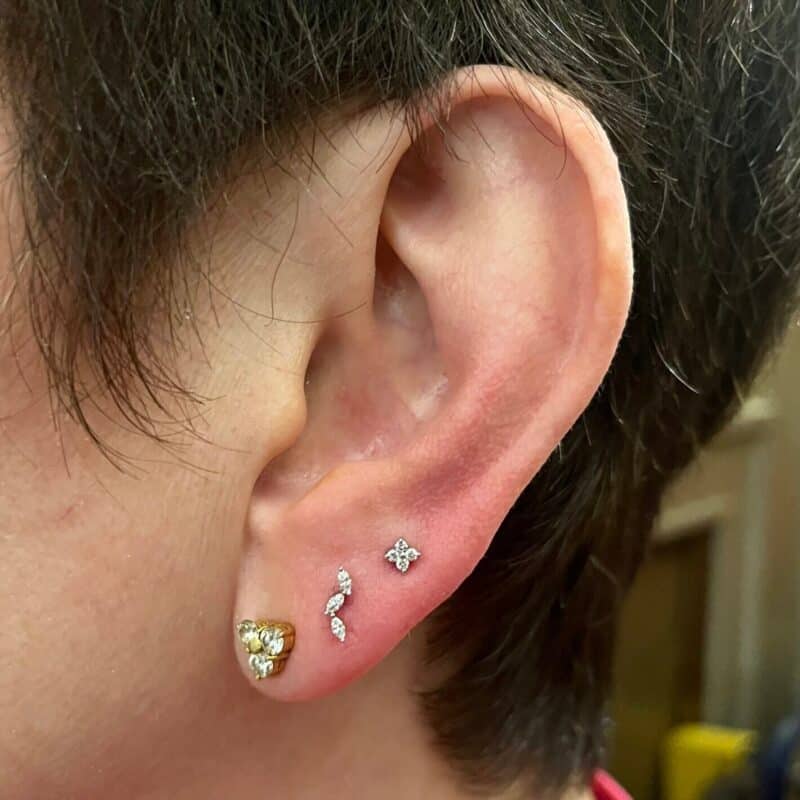 Falling Leaves - Image 5