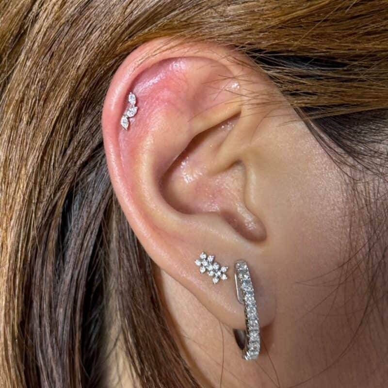 Falling Leaves - Image 6