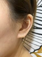 Hanging Lotus - Image 5