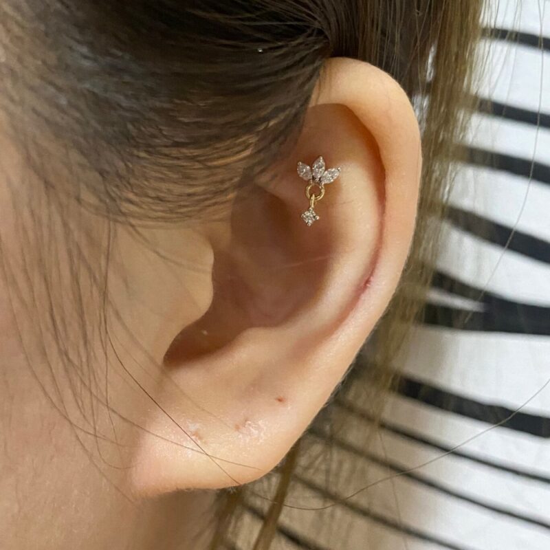 Hanging Lotus - Image 4