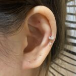 Hanging Lotus - Image 2