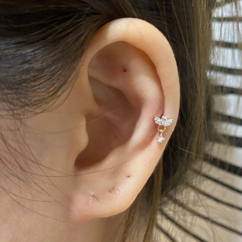 Hanging Lotus - Image 2