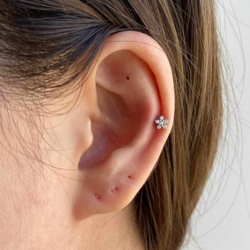 Reversible Bloom and Round - Image 2