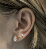 Seashell - Image 5