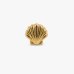 Seashell