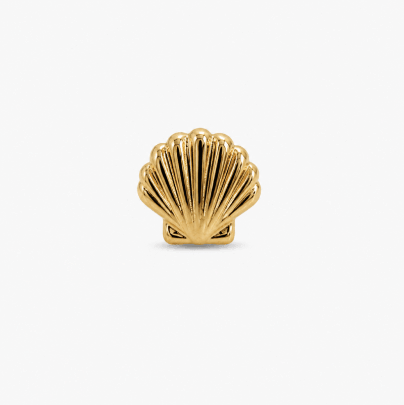 Seashell - image 4