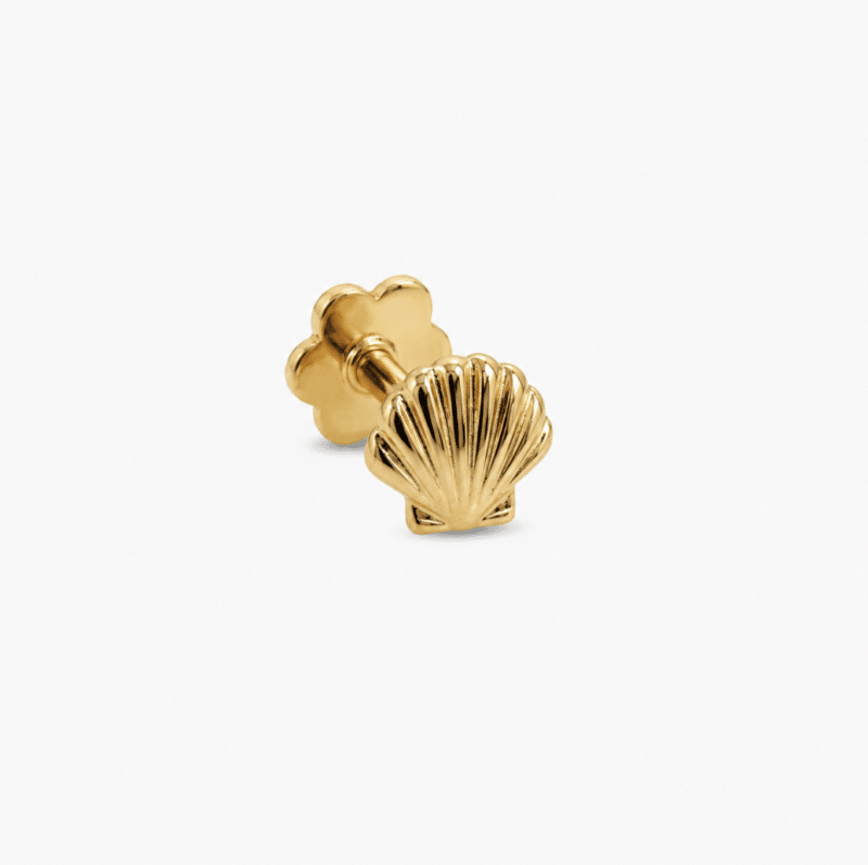 Seashell - image 3