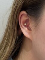 Twinkle Star - Image 4